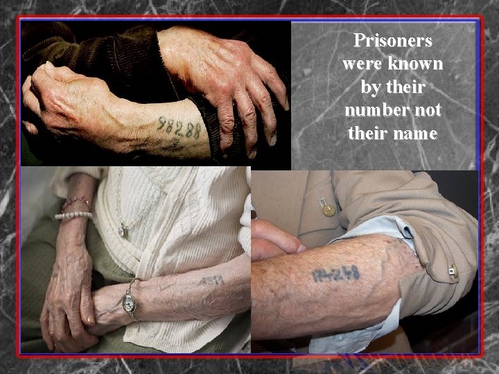 Prisoners were known by their number not their name 