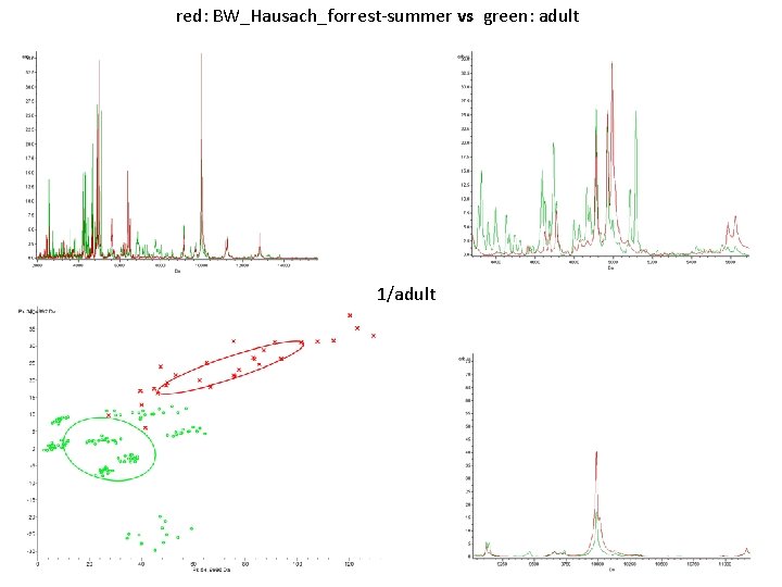 red: BW_Hausach_forrest-summer vs green: adult 1/adult 