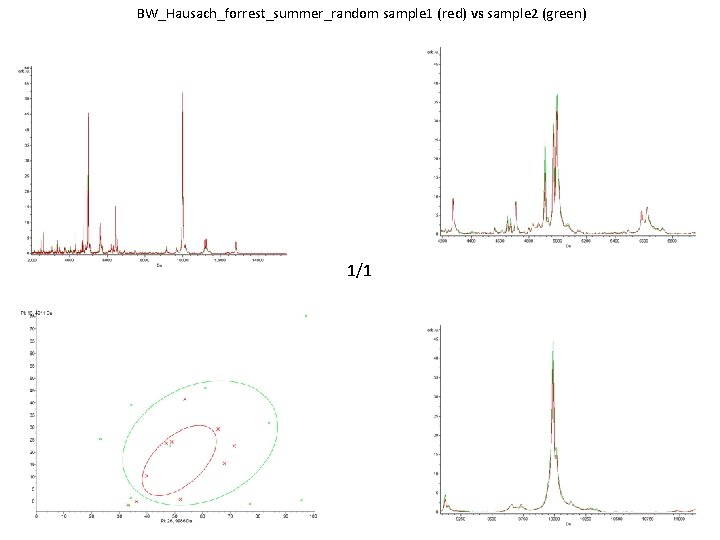 BW_Hausach_forrest_summer_random sample 1 (red) vs sample 2 (green) 1/1 