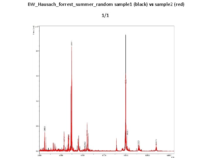 BW_Hausach_forrest_summer_random sample 1 (black) vs sample 2 (red) 1/1 