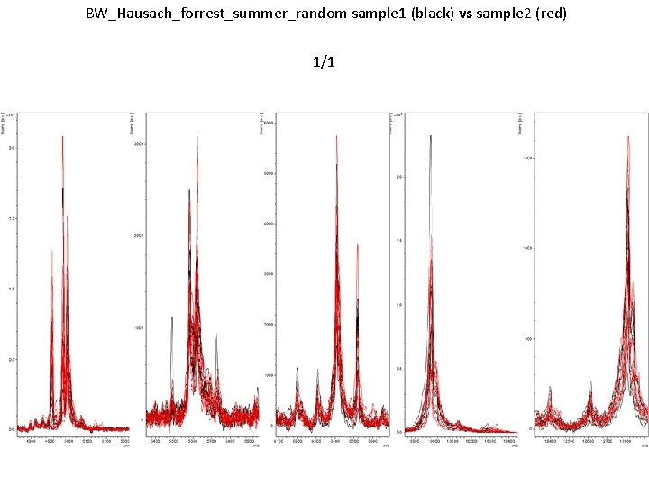 BW_Hausach_forrest_summer_random sample 1 (black) vs sample 2 (red) 1/1 
