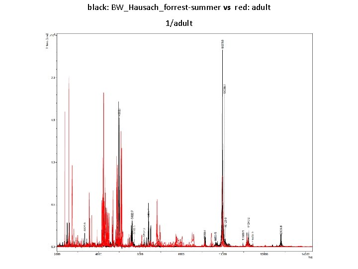 black: BW_Hausach_forrest-summer vs red: adult 1/adult 