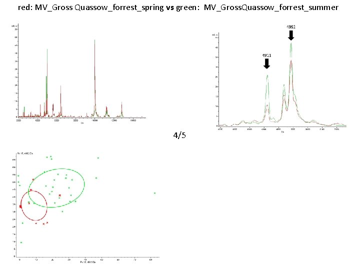 red: MV_Gross Quassow_forrest_spring vs green: MV_Gross. Quassow_forrest_summer 4/5 