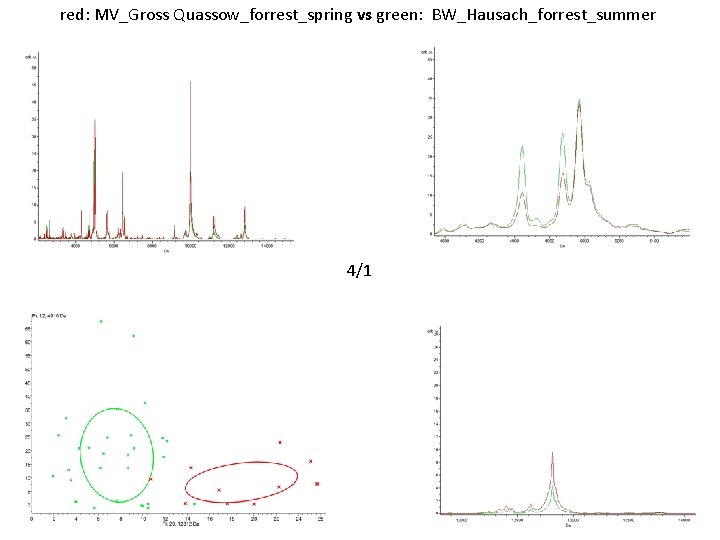 red: MV_Gross Quassow_forrest_spring vs green: BW_Hausach_forrest_summer 4/1 