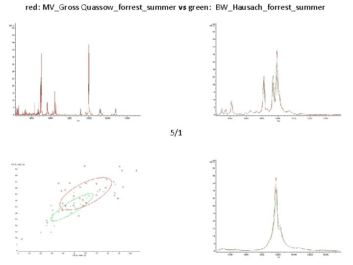 red: MV_Gross Quassow_forrest_summer vs green: BW_Hausach_forrest_summer 5/1 