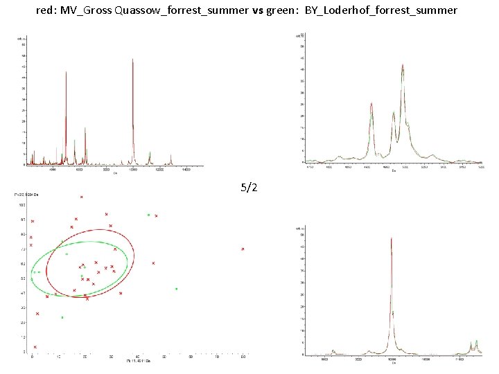 red: MV_Gross Quassow_forrest_summer vs green: BY_Loderhof_forrest_summer 5/2 