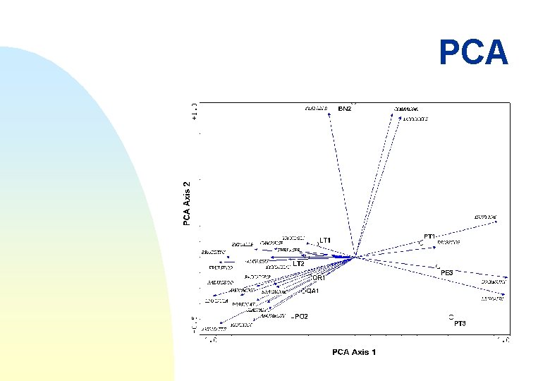 PCA 