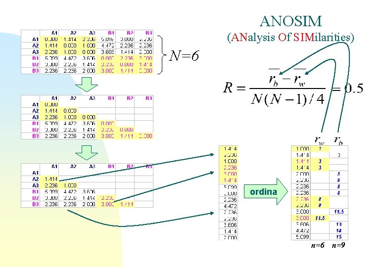 ANOSIM (ANalysis Of SIMilarities) N=6 ordina n=6 n=9 