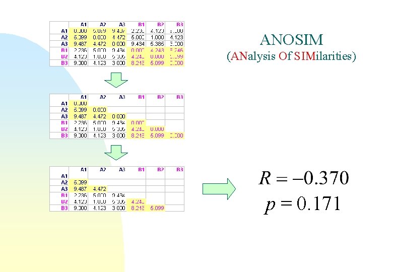 ANOSIM (ANalysis Of SIMilarities) p = 0. 171 