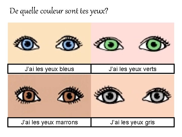 De quelle couleur sont tes yeux? J’ai les yeux bleus J’ai les yeux verts