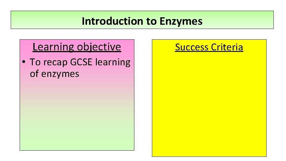 Introduction to Enzymes Learning objective • To recap GCSE learning of enzymes Success Criteria