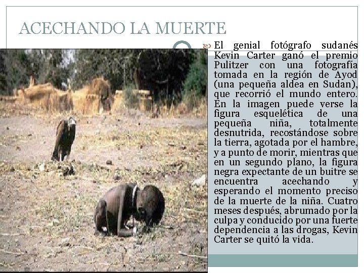 ACECHANDO LA MUERTE El genial fotógrafo sudanés Kevin Carter ganó el premio Pulitzer con