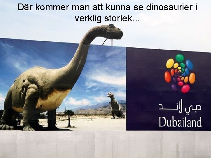 Där kommer man att kunna se dinosaurier i verklig storlek. . . 