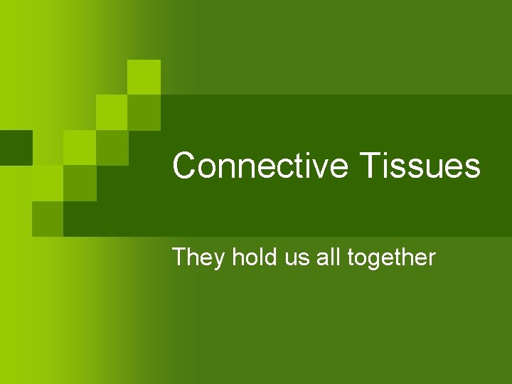 Connective Tissues They hold us all together 