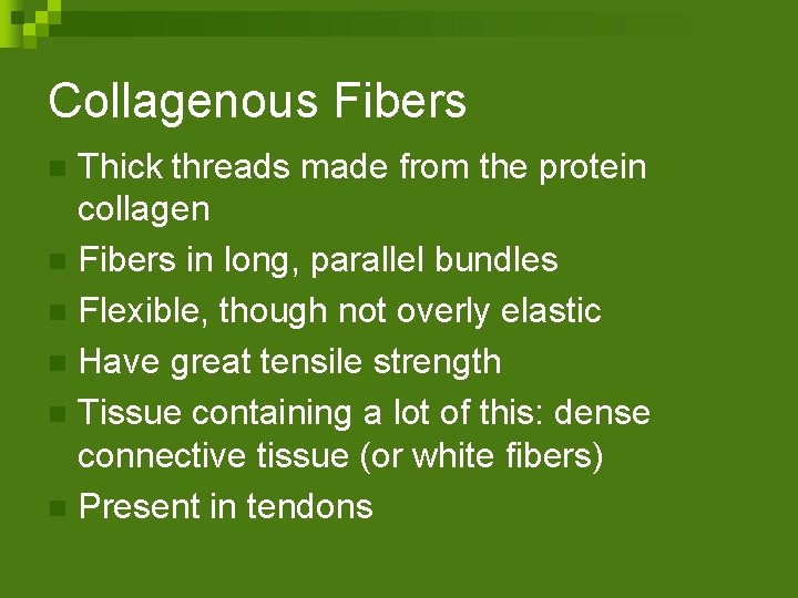 Collagenous Fibers Thick threads made from the protein collagen n Fibers in long, parallel