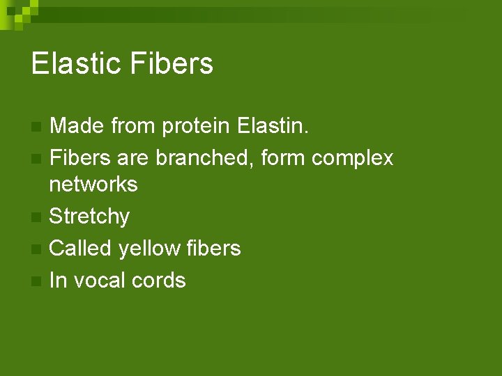 Elastic Fibers Made from protein Elastin. n Fibers are branched, form complex networks n