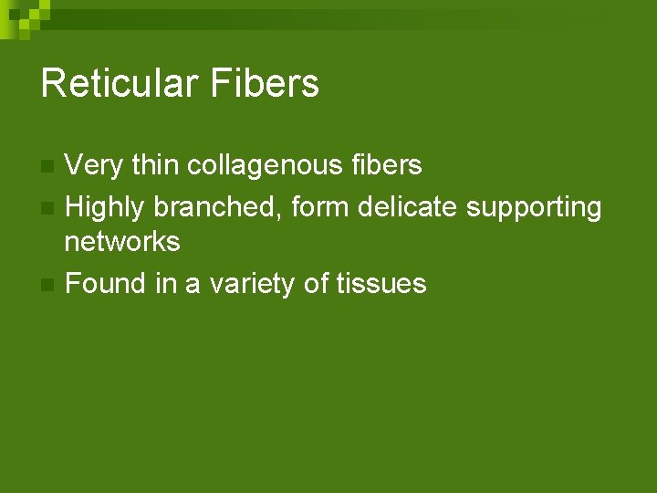 Reticular Fibers Very thin collagenous fibers n Highly branched, form delicate supporting networks n