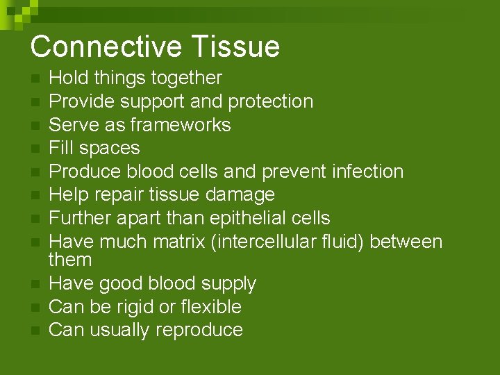 Connective Tissue n n n Hold things together Provide support and protection Serve as