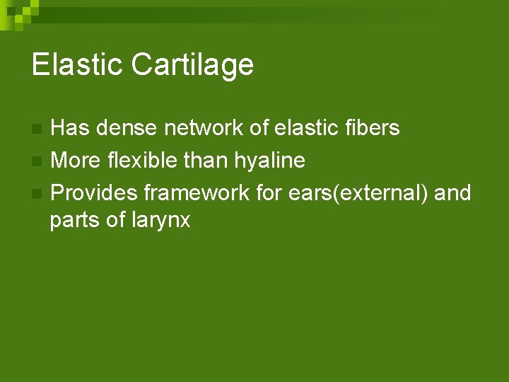 Elastic Cartilage Has dense network of elastic fibers n More flexible than hyaline n