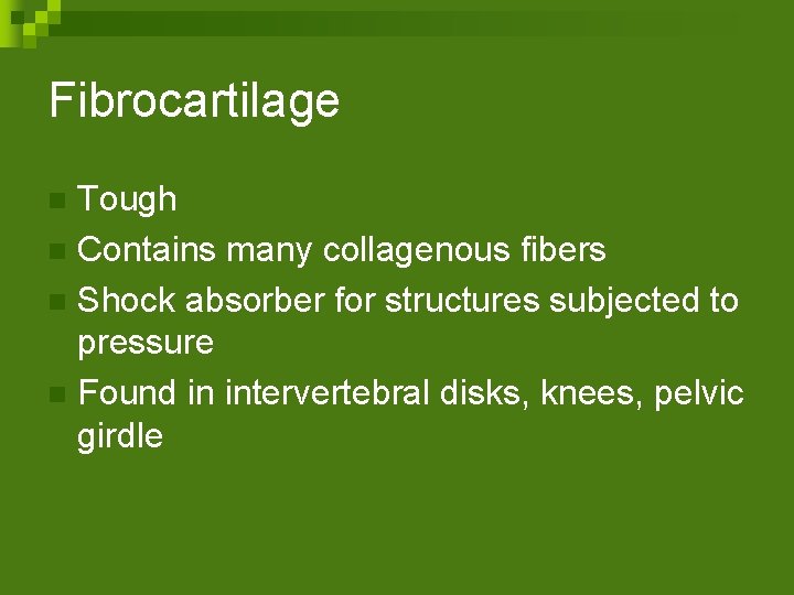 Fibrocartilage Tough n Contains many collagenous fibers n Shock absorber for structures subjected to