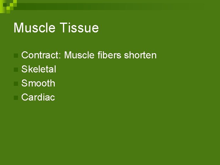 Muscle Tissue Contract: Muscle fibers shorten n Skeletal n Smooth n Cardiac n 