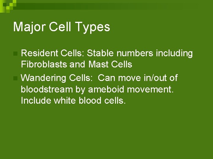 Major Cell Types Resident Cells: Stable numbers including Fibroblasts and Mast Cells n Wandering