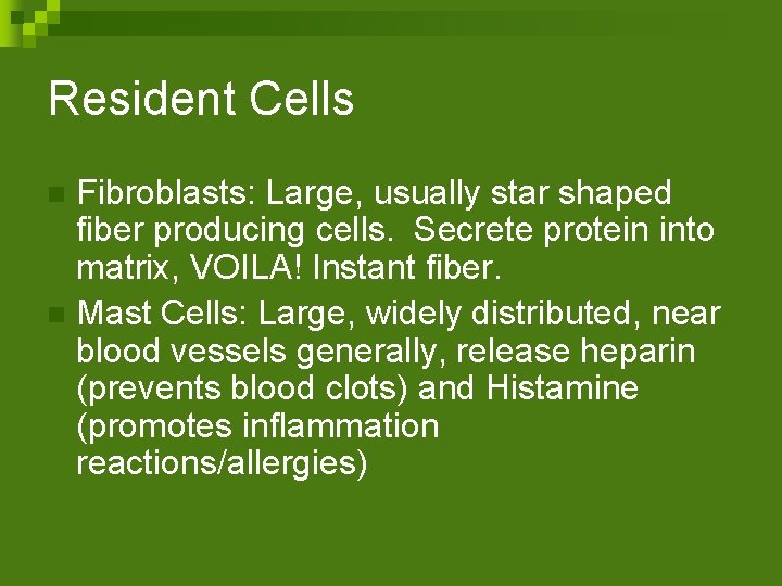Resident Cells Fibroblasts: Large, usually star shaped fiber producing cells. Secrete protein into matrix,