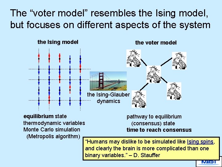 The “voter model” resembles the Ising model, but focuses on different aspects of the