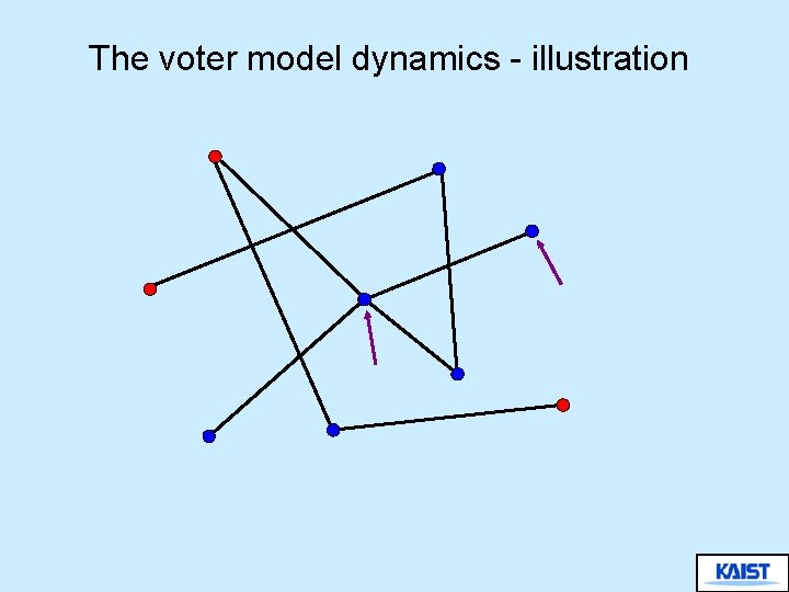 The voter model dynamics - illustration 