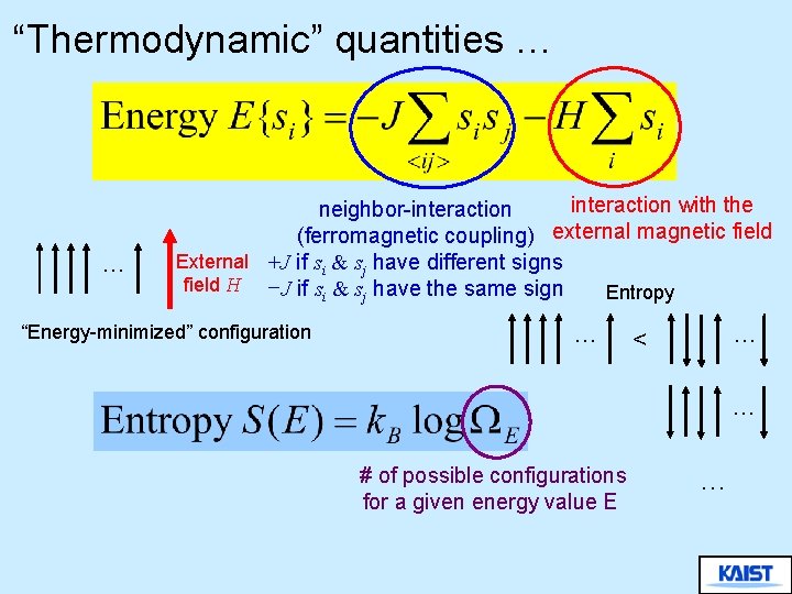 “Thermodynamic” quantities … … interaction with the neighbor-interaction (ferromagnetic coupling) external magnetic field External