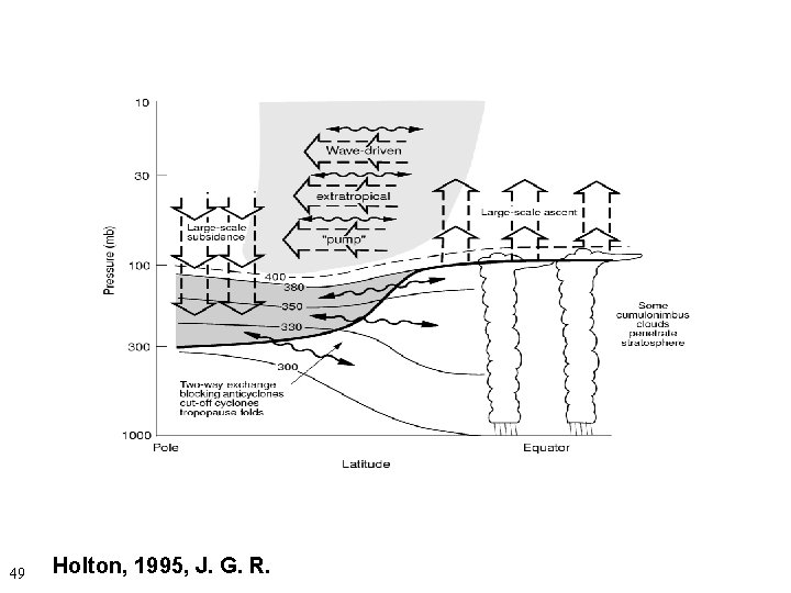 49 Holton, 1995, J. G. R. 