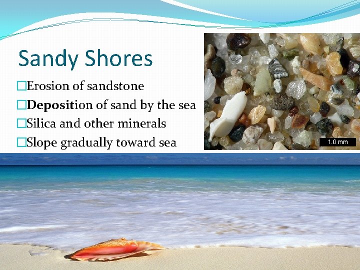 Sandy Shores �Erosion of sandstone �Deposition of sand by the sea �Silica and other