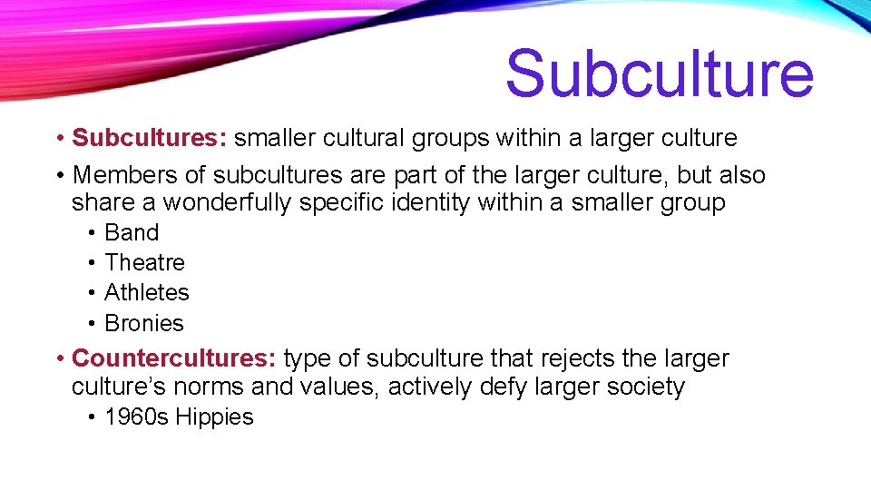 Subculture • Subcultures: smaller cultural groups within a larger culture • Members of subcultures