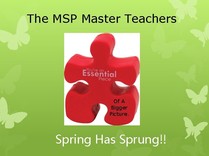 The MSP Master Teachers Of A Bigger Picture. Spring Has Sprung!! 
