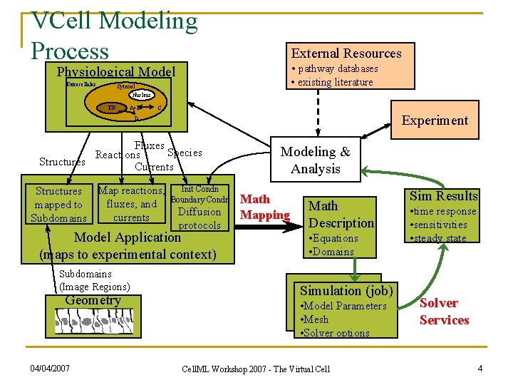 VCell Modeling Process External Resources • pathway databases Physiological Model Extracellular • existing literature
