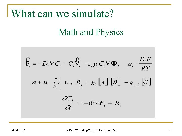What can we simulate? Math and Physics 04/04/2007 Cell. ML Workshop 2007 - The
