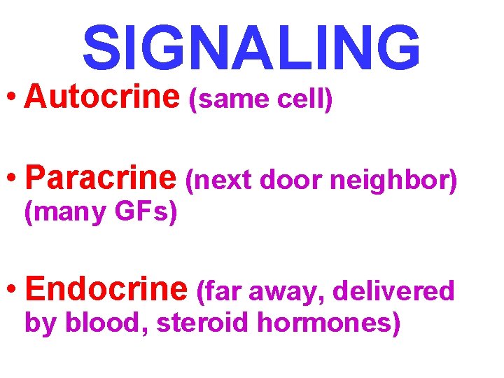 SIGNALING • Autocrine (same cell) • Paracrine (next door neighbor) (many GFs) • Endocrine