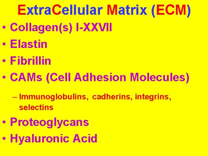 Extra. Cellular Matrix (ECM) • • Collagen(s) I-XXVII Elastin Fibrillin CAMs (Cell Adhesion Molecules)