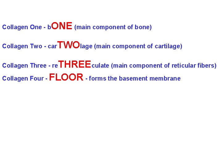 Collagen One - b ONE (main component of bone) Collagen Two - car TWOlage