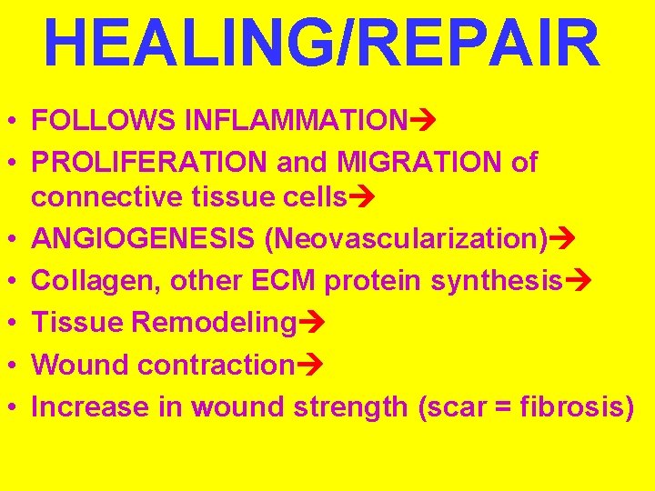 HEALING/REPAIR • FOLLOWS INFLAMMATION • PROLIFERATION and MIGRATION of connective tissue cells • ANGIOGENESIS