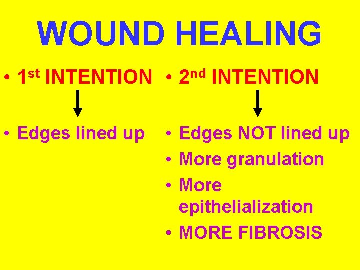 WOUND HEALING • 1 st INTENTION • 2 nd INTENTION • Edges lined up