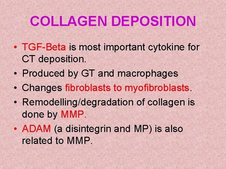 COLLAGEN DEPOSITION • TGF-Beta is most important cytokine for CT deposition. • Produced by