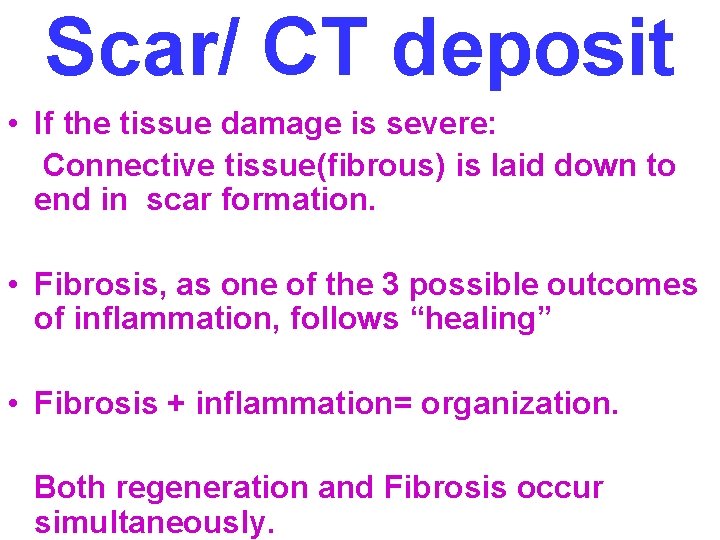 Scar/ CT deposit • If the tissue damage is severe: Connective tissue(fibrous) is laid