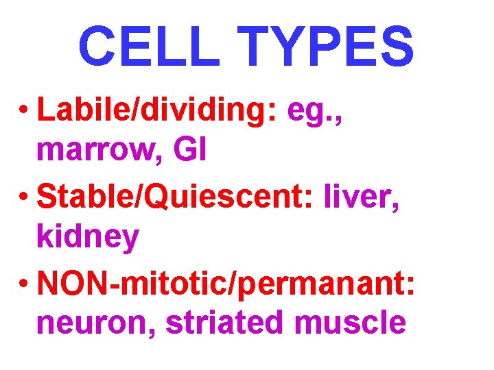 CELL TYPES • Labile/dividing: eg. , marrow, GI • Stable/Quiescent: liver, kidney • NON-mitotic/permanant: