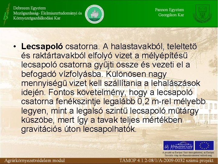  • Lecsapoló csatorna. A halastavakból, teleltető és raktártavakból elfolyó vizet a mélyépítésű lecsapoló