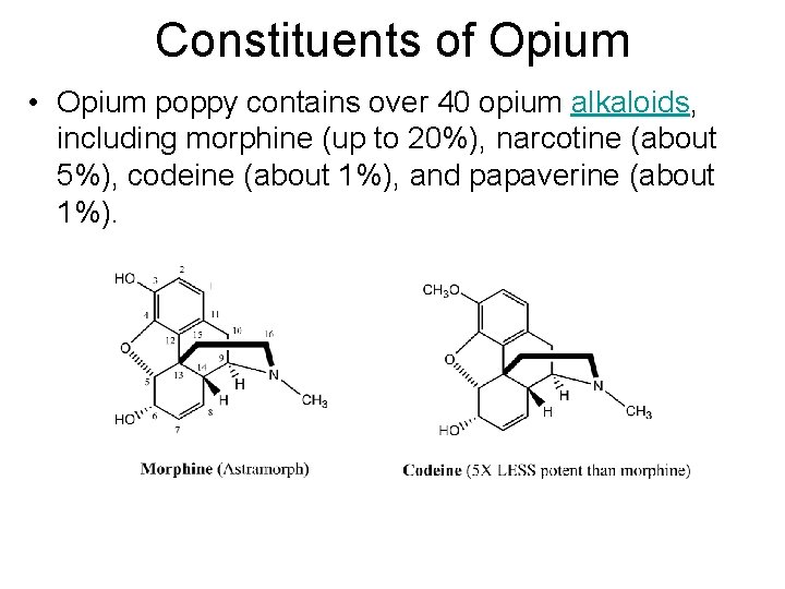 Constituents of Opium • Opium poppy contains over 40 opium alkaloids, including morphine (up