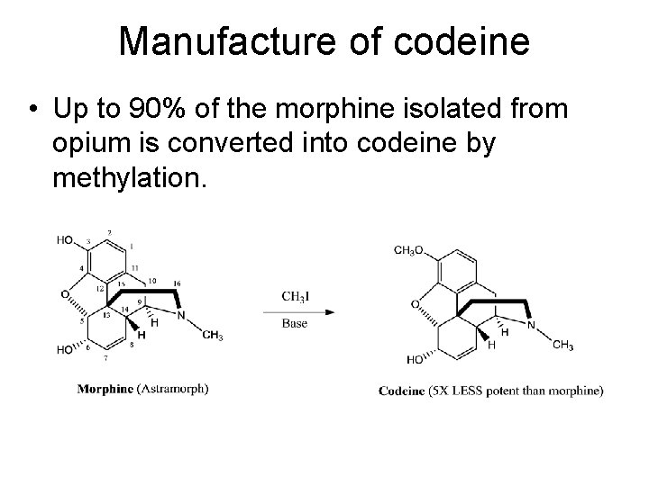 Manufacture of codeine • Up to 90% of the morphine isolated from opium is