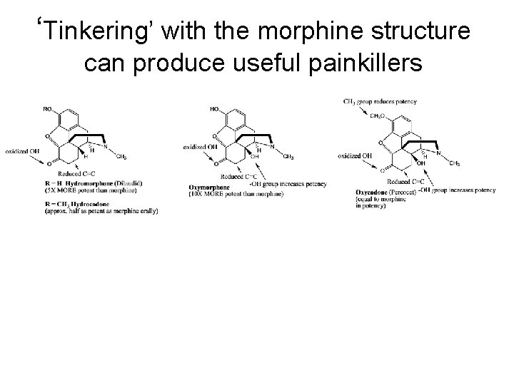 ‘Tinkering’ with the morphine structure can produce useful painkillers 