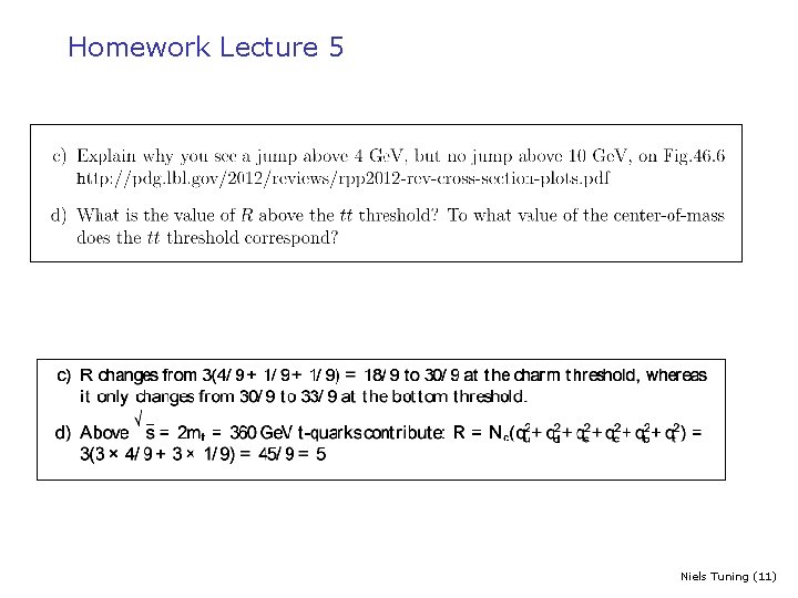 Homework Lecture 5 Niels Tuning (11) 