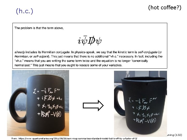 (h. c. ) (hot coffee? ) Niels Tuning (132) From: https: //www. quantumdiaries. org/2011/06/26/cern-mug-summarizes-standard-model-but-is-off-by-a-factor-of-2/